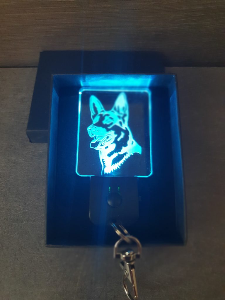Porte-clés LED Berger Allemand chien