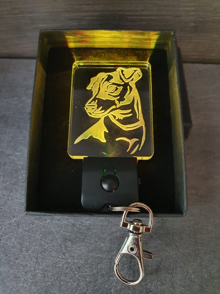 Porte-clés LED Jack Russel chien