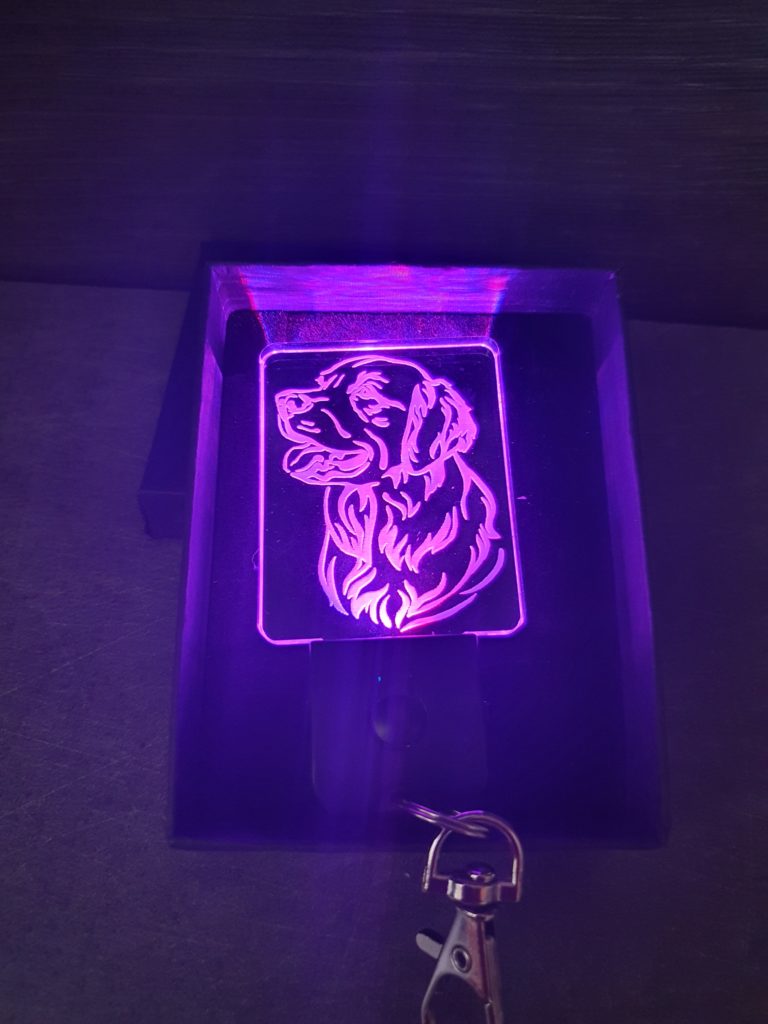 Porte-clés LED chien Labrador