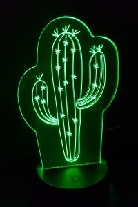 veilleuse led cactus